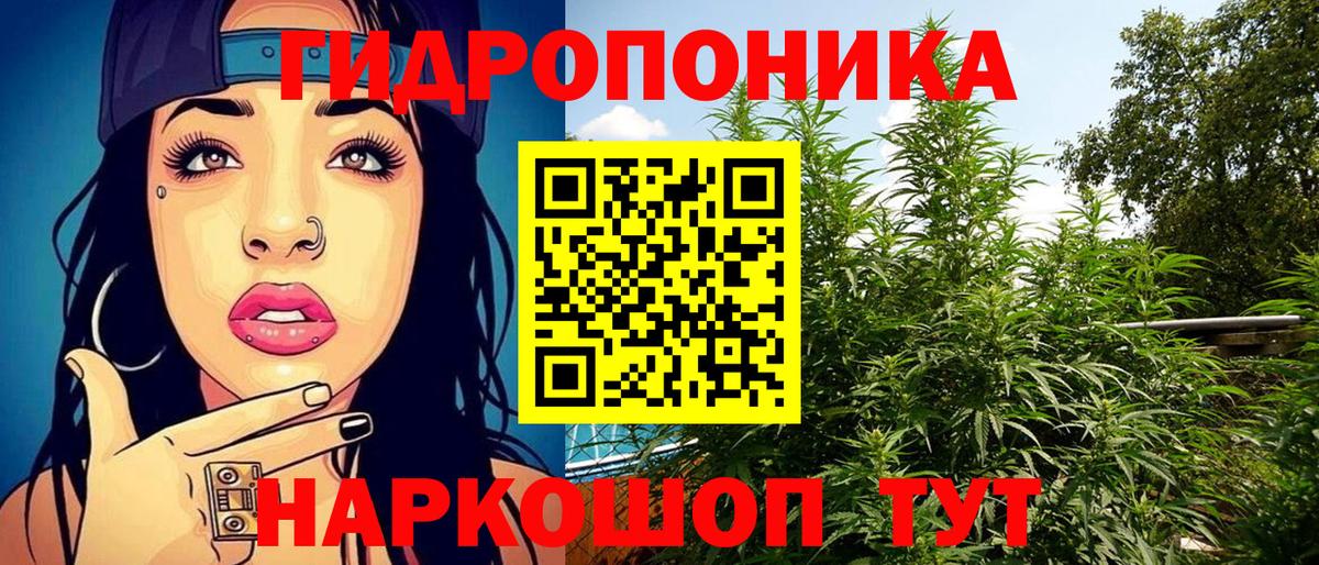 Каннабис конопля  Шишки марихуана семена  Вход с VPN  Шишки марихуана Amnesia  Шишки марихуана LSD WEED  Киреевск 